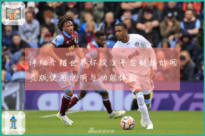 详细介绍世界杯投注平台链接的网页版使用说明与功能体验