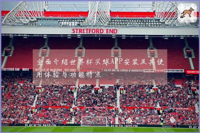 全面介绍世界杯买球APP安装及其使用体验与功能特点