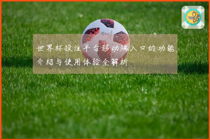 世界杯投注平台移动端入口的功能介绍与使用体验全解析