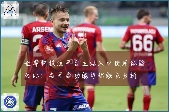 世界杯投注平台主站入口使用体验对比：各平台功能与优缺点分析
