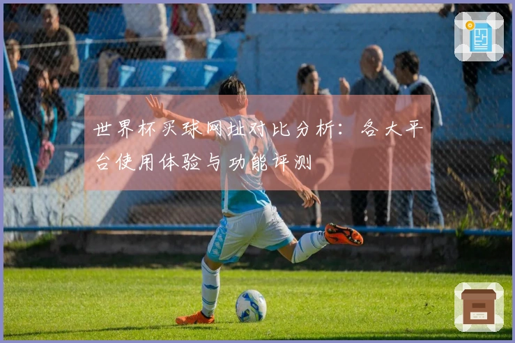 世界杯买球网址对比分析：各大平台使用体验与功能评测