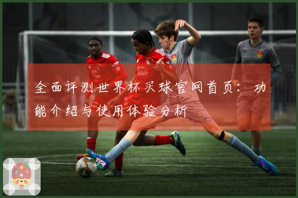 全面评测世界杯买球官网首页：功能介绍与使用体验分析