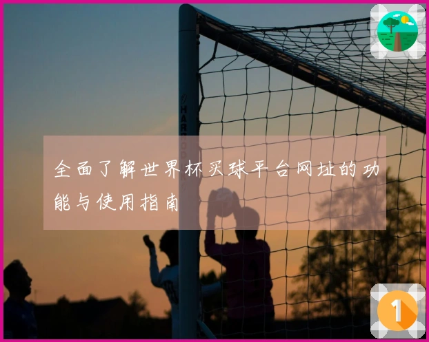 全面了解世界杯买球平台网址的功能与使用指南