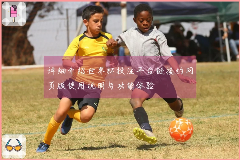 详细介绍世界杯投注平台链接的网页版使用说明与功能体验