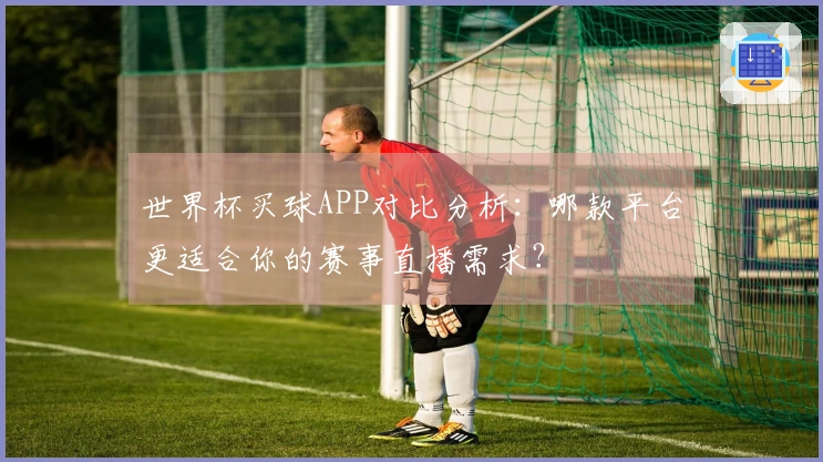 世界杯买球APP对比分析:哪款平台更适合你的赛事直播需求?