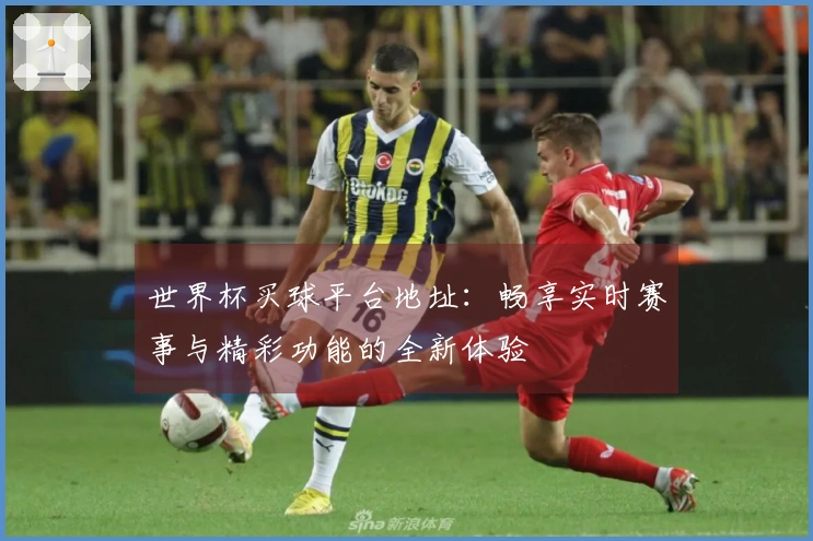 世界杯买球平台地址：畅享实时赛事与精彩功能的全新体验