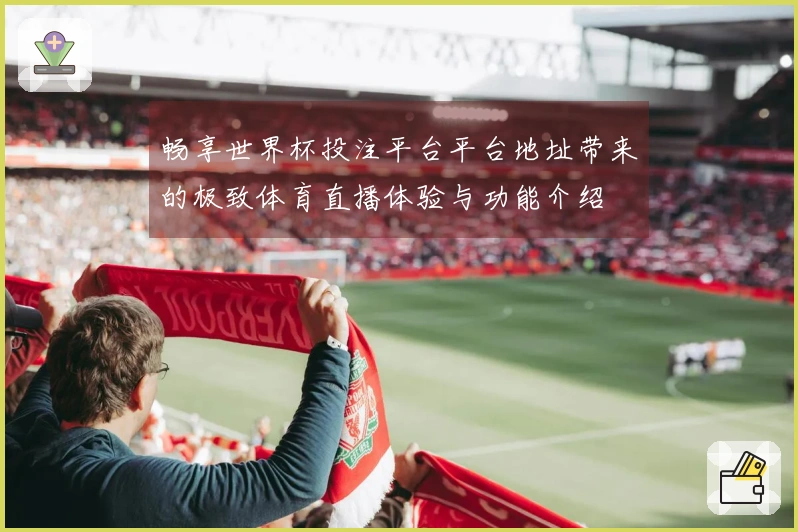 畅享世界杯投注平台平台地址带来的极致体育直播体验与功能介绍