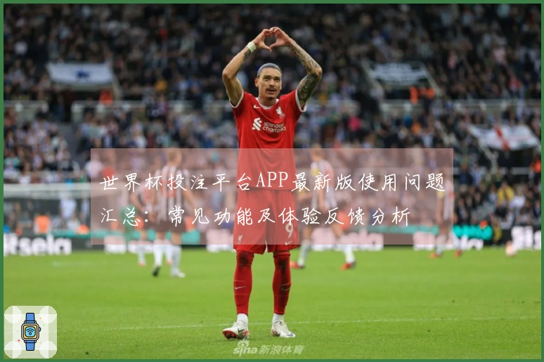 世界杯投注平台APP最新版使用问题汇总：常见功能及体验反馈分析