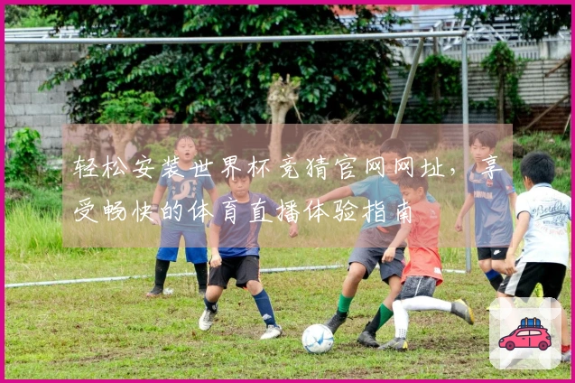 轻松安装世界杯竞猜官网网址，享受畅快的体育直播体验指南