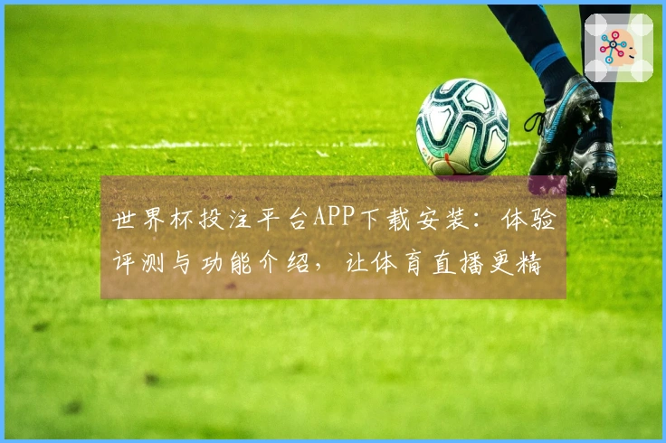 世界杯投注平台APP下载安装：体验评测与功能介绍，让体育直播更精彩