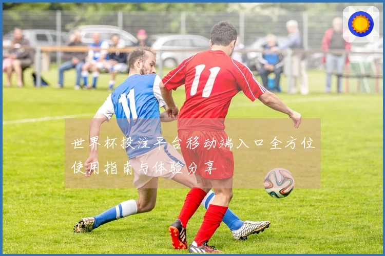 世界杯投注平台移动端入口全方位使用指南与体验分享
