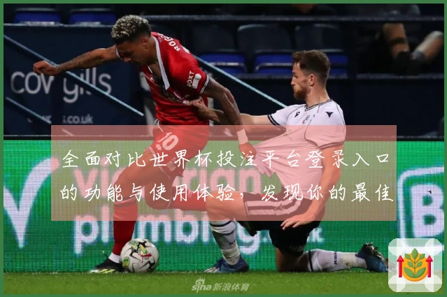 全面对比世界杯投注平台登录入口的功能与使用体验,发现你的最佳选择