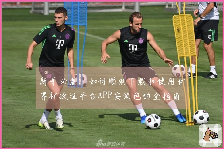 新手必看：如何顺利下载和使用世界杯投注平台APP安装包的全指南