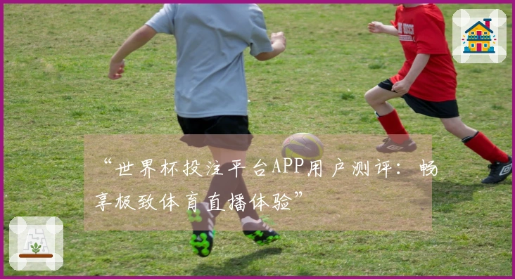 “世界杯投注平台APP用户测评：畅享极致体育直播体验”
