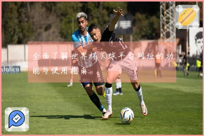 全面了解世界杯买球平台网址的功能与使用指南